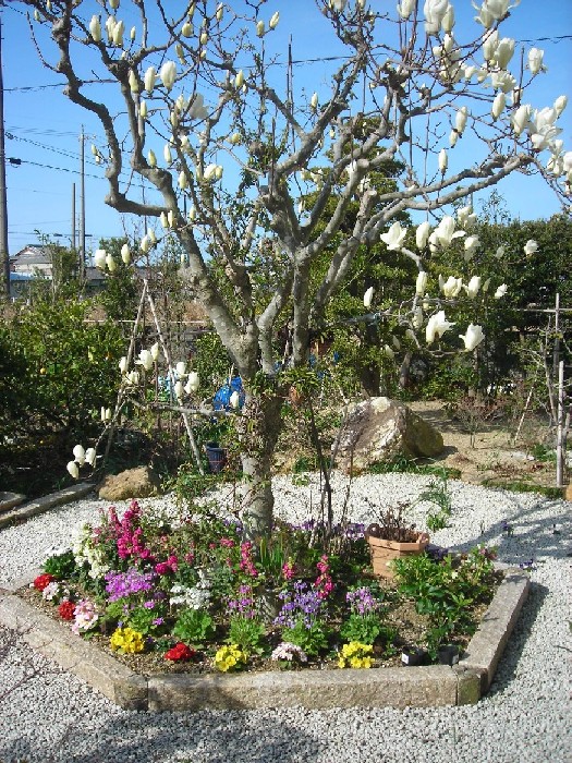 DSCN2557.JPG