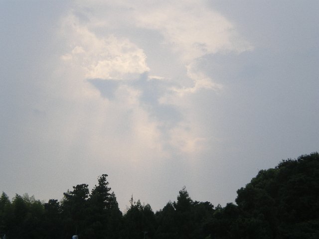 IMGP0208.JPG