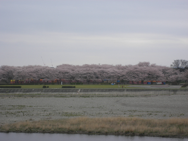 IMGP1408.JPG