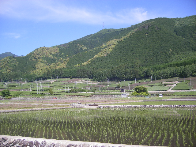 IMGP1435.JPG