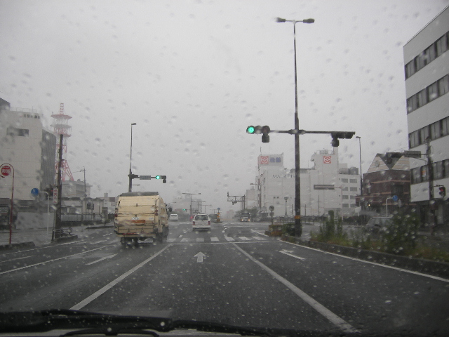 IMGP1446.JPG