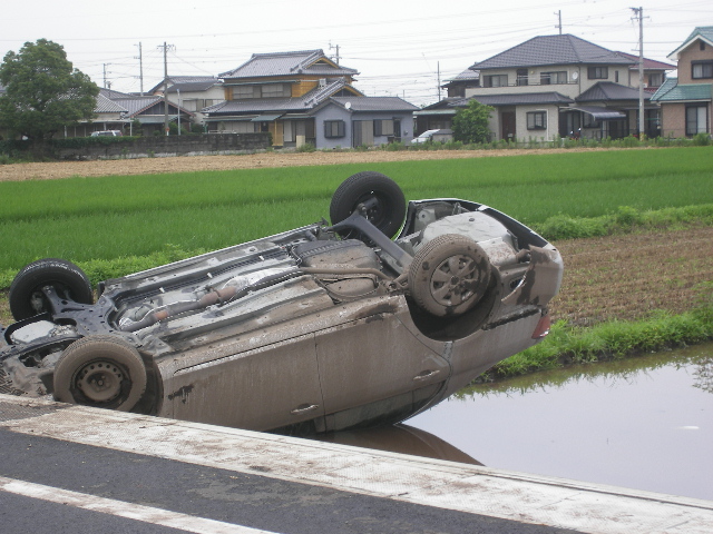 IMGP1450.JPG