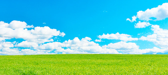 SDGsへの取り組み